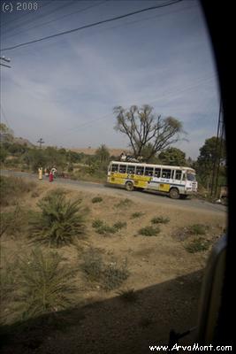 ZE2G9480.jpg